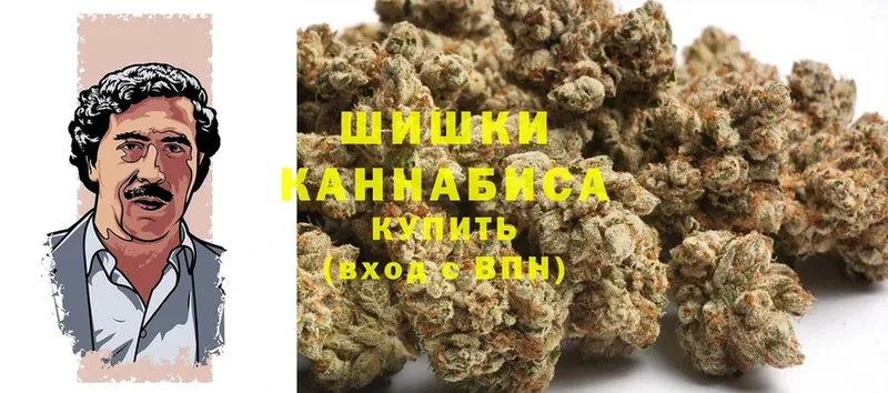 Канабис VHQ  где продают наркотики  Дигора 